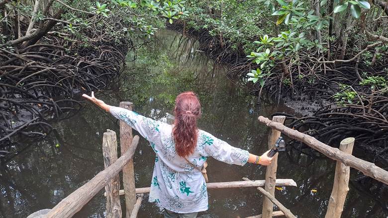 Šuma mangrova, Zanzibar